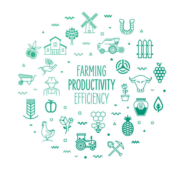 Farming Productivity & Efficiency Outline Style Infographic Design Farming productivity and efficiency outline style symbols on modern gradient background. Line vector icons for infographics, mobile and web designs. farmer drawings stock illustrations