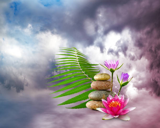 istock lotus flower and stones against cloud background 1148658548