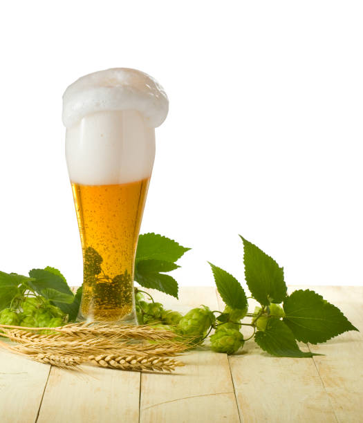 istock image of mug with beer and hops close-up 1148658574