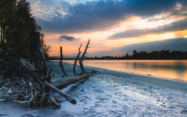 istock Log on beach, spectacular sunset above 1148658878