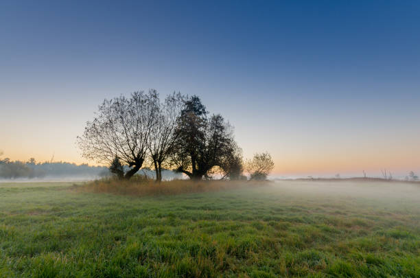 istock Autumnal sunrise on a mid-forest meadow 1148658897