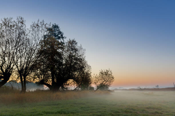 istock Autumnal sunrise on a mid-forest meadow 1148658915
