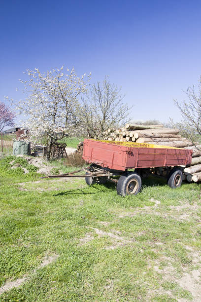 istock Spring rural landscape in village 1148660467