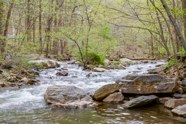 istock Peaceful Slow Motion Flowing Stream In Spring Woodland Setting 1148662891
