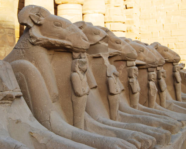 Row of ram statues of the temple of Karnak, Luxor, Egypt Row of ram statues of the temple of Karnak, Luxor amon photos stock pictures, royalty-free photos & images