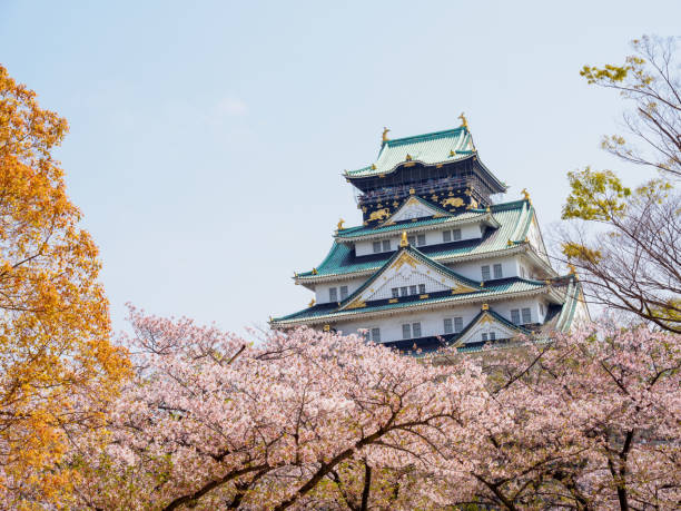 castelo de osaka entre árvores de sakura, osaka, japão - toyotomi hideyoshi - fotografias e filmes do acervo