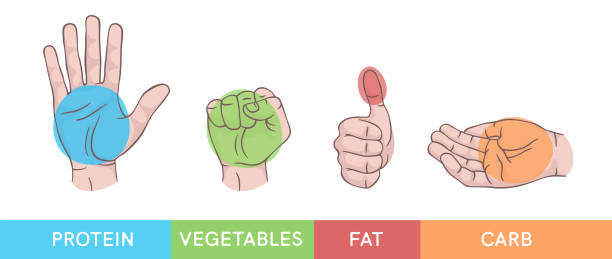 ilustrações de stock, clip art, desenhos animados e ícones de hand gestures set isolated. palm, fist, thumb up, cupped hand. portions of food. infographic. modern beautiful style. realistic. flat style vector illustration. signs and icons. different positions. - portion