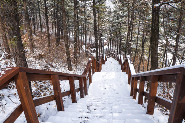 istock Winter Snowy Park Scenic Area 1148672334