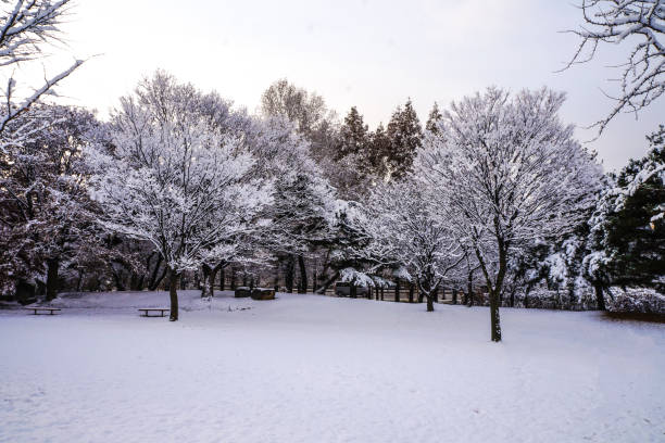 istock Winter Snowy Park Scenic Area 1148672406