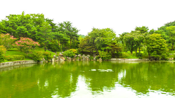 istock Green Ponds and Garden Scenic Area 1148673577