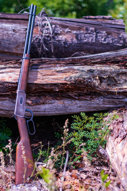 istock Antique lever action rifle with a downed tree 1148673751