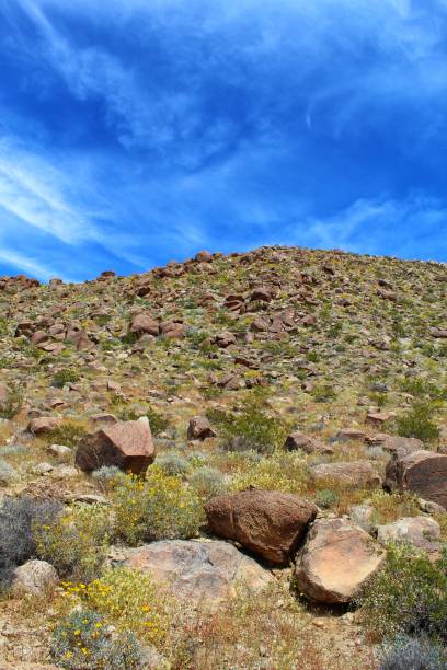 istock REVERSAL OF THE ROCKS - JOSHUA TREE NP - 040919 D 1148675367