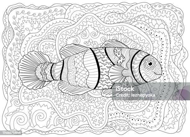 Clownfish With High Details Stock Illustration - Download Image Now - Abstract, Alternative Therapy, Animal