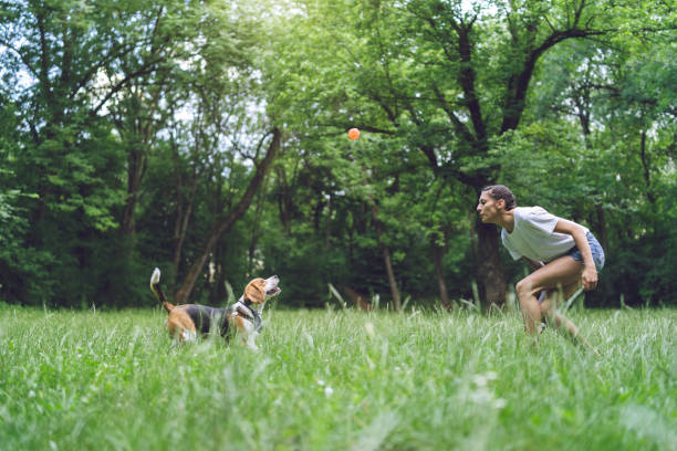 istock Young woman playing with dog in a park 1148681557