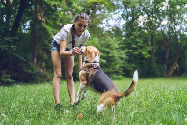 istock Young woman playing with dog in a park 1148681632