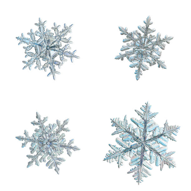 istock Four snowflakes isolated on white background 1148682453