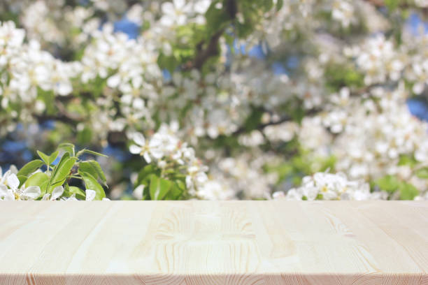 istock empty wooden table on a spring blurred background with flowering branches of Apple 1148682462
