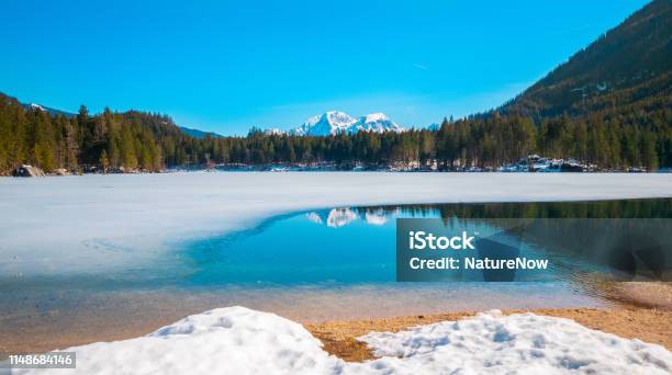 Hintersee Berchtesgaden Deutschland Im Winter Stockfoto und mehr Bilder von Alpen - Alpen, Baum, Bayern