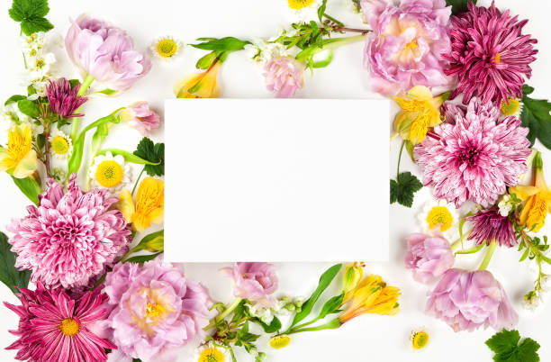istock Beautiful pink flowers 1148684157