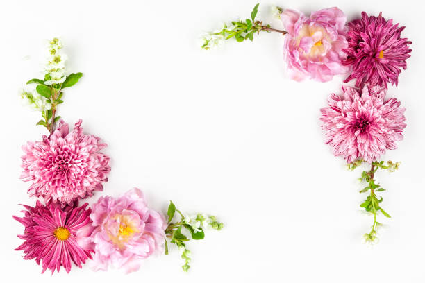 istock Beautiful pink flowers 1148684168