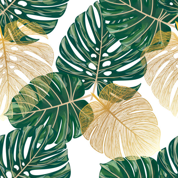 illustrazioni stock, clip art, cartoni animati e icone di tendenza di motivo senza cuciture con palma foglia tropicale. - palm leaf frond leaf backgrounds