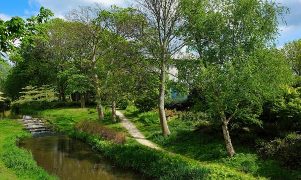 istock Park with green trees with water and footpath in Amsterdam 1148687829