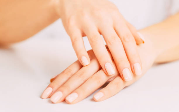 istock Female hands with beige manicure. 1148688558