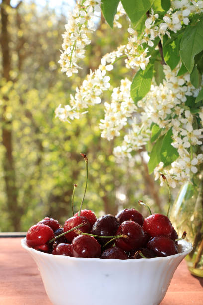 A cup of cherries on a sunny window.