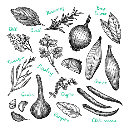 Сooking ingredients. Ink sketch isolated on white background. Hand drawn vector illustration. Retro style.