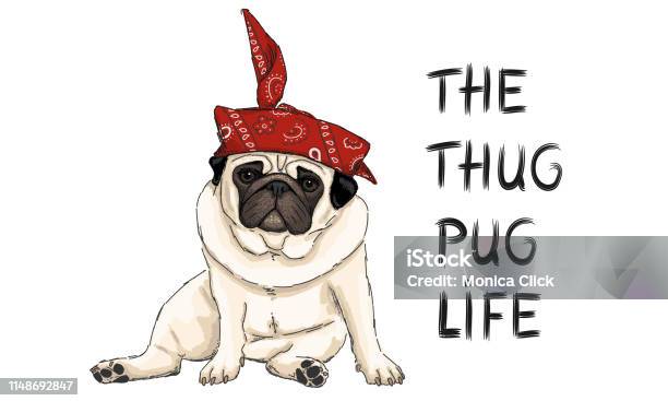 Hand Drawn Vector Illustration Of Thug Pug Puppy Dog Sitting Down With Red Western Scarf Bandana And Text Stock Illustration - Download Image Now