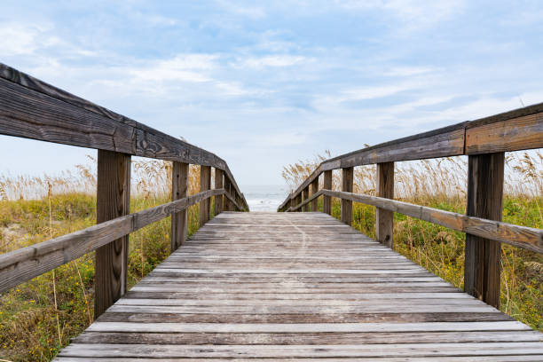 istock Boardwalk Leading to the Beach 1148693719