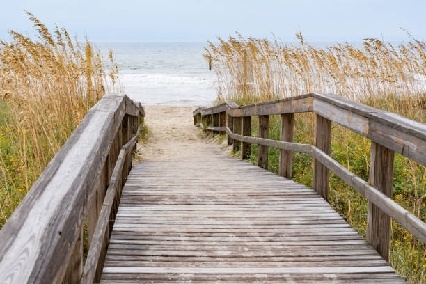 istock Boardwalk Leading to the Beach 1148693757