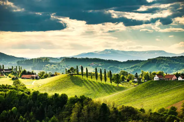 South styria vineyards landscape, near Gamlitz, Austria, Eckberg, Europe. Grape hills view from wine road in spring. Tourist destination, travel spot.