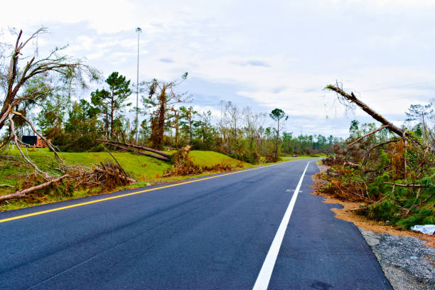 Landscape. After Hurricane Michael, broken tree limbs and debris by the side of I-10 Florida. Created in Panhandle, FL, 11/22/2018.