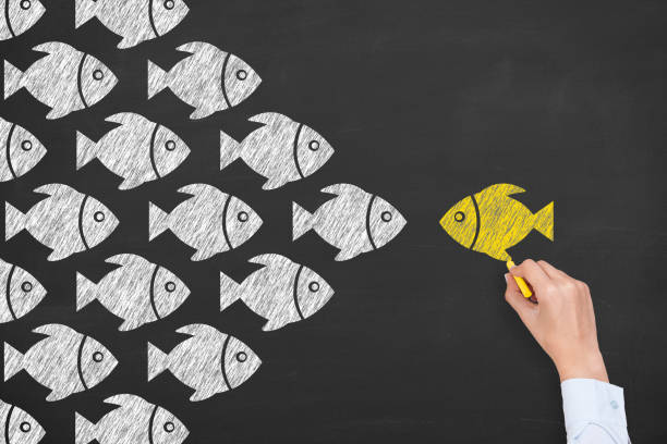 istock Leadership Concepts with Fish on Chalkboard Background 1148707039