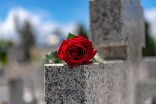 istock Flower on memorial stone close up 1148709215