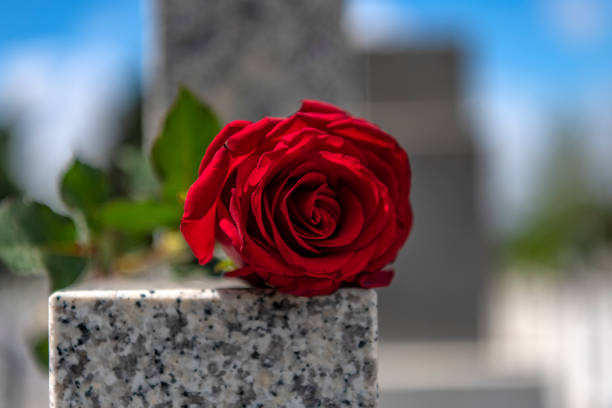 istock Flower on memorial stone close up 1148709914