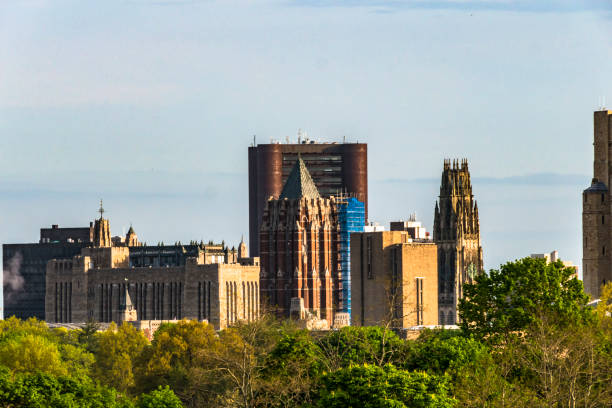istock New Haven, Connecticut, USA 1148712565