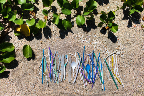 istock Heap of different plastic waste: straws and single-use spoons, toothbrush and comb collected on the beach on sand background 1148714233