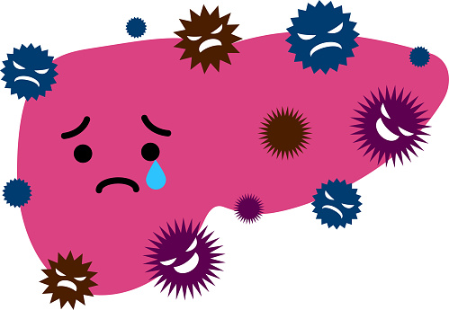 Free download of fatty liver vector graphics and illustrations Free download of fatty liver vector graphics and illustrations