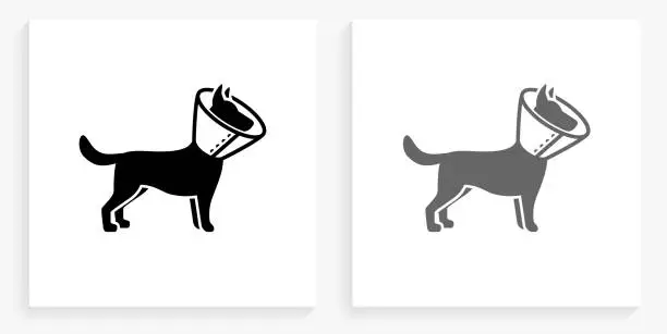 Vector illustration of Dog and Neck Cone Black and White Square Icon