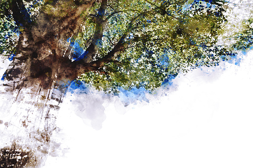 Tree and green leaves watercolor illustration with space for text