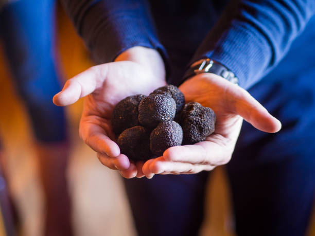 Handful of Truffles