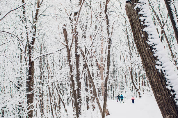 скандинавский лыжник на белом зимнем лесу, покрытом снегом. - world cup стоковые фото и изображения