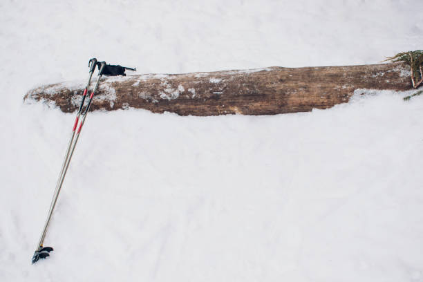 narciarz nordycki na białym zimowym lesie pokrytym śniegiem. - world cup zdjęcia i obrazy z banku zdjęć
