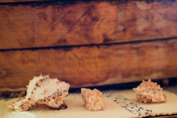 istock Sea sand with starfish and shells 1148728620