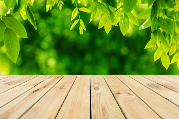 istock Empty wood plank table top with green nature background 1148733957
