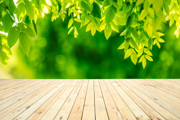 istock Empty wood plank table top with green nature background 1148733972