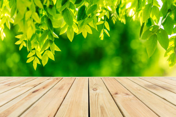 istock Empty wood plank table top with green nature background 1148734054