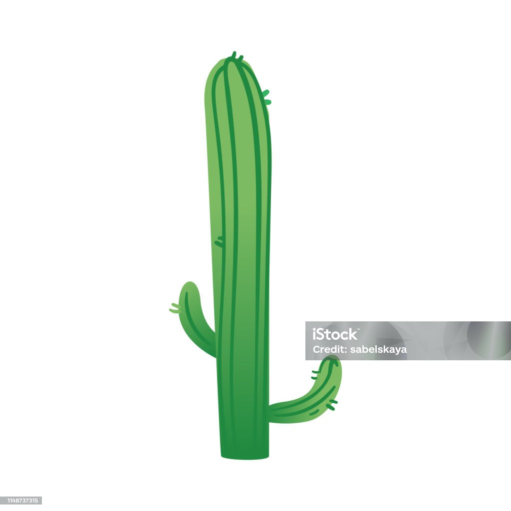 Cây Xương Rồng Saguaro Cột Màu Xanh Lá Cây Với Cành Nhỏ Hoặc Phong ...
